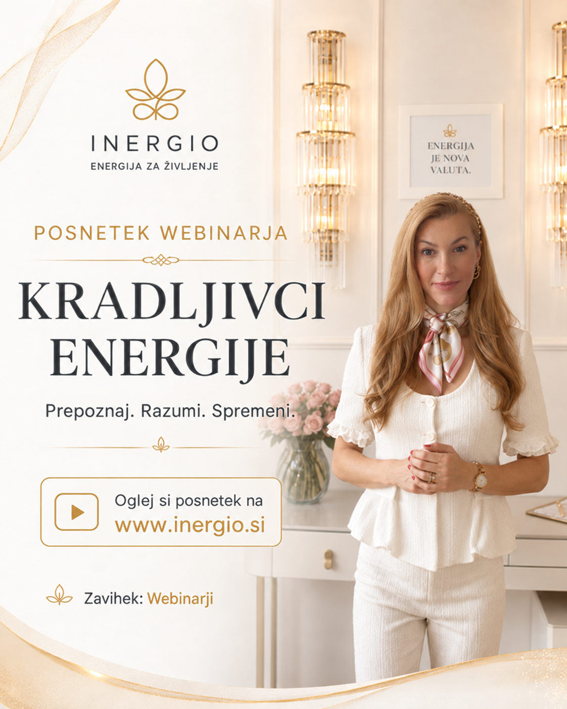 Online webinar Kam je šla Moja energija?